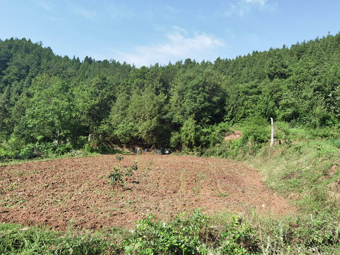 1657071225356557.jpg 2222_副本.jpg